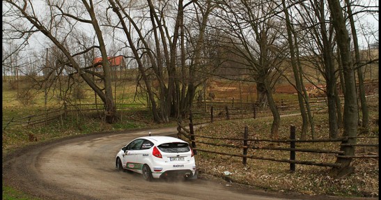 Testy Fiesta Trophy i Fabii WRC